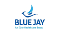 Blue Jay